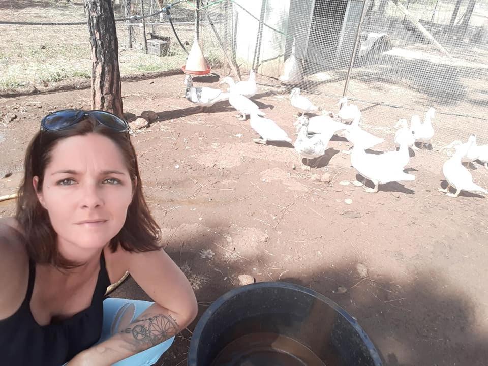 Le Gite Du Koniambo Voh Buitenkant foto