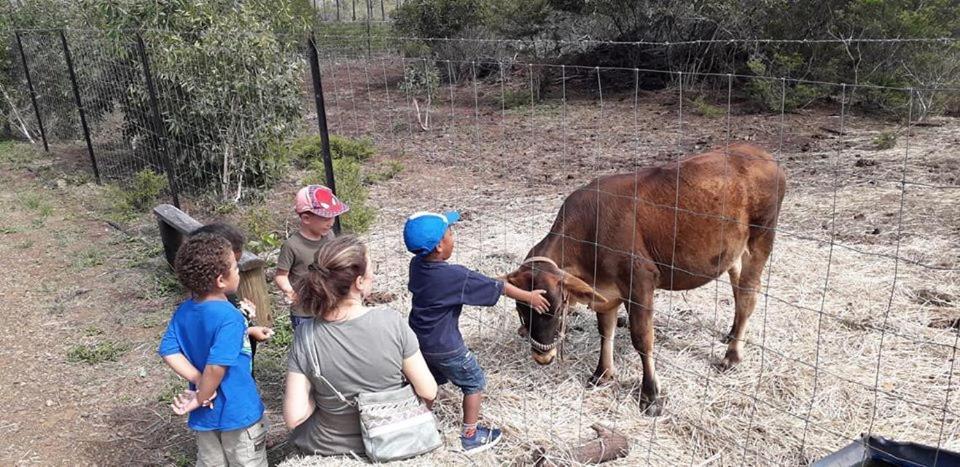 Le Gite Du Koniambo Voh Buitenkant foto